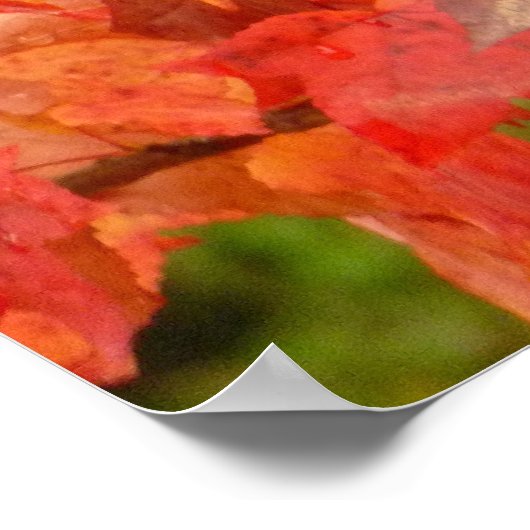 Liquidambar Blätter Poster (Ecke)