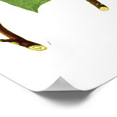 Liriodendron tulipifera poster (Ecke)