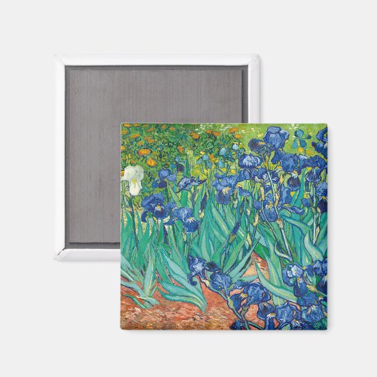 Lirios de Van Gogh Magnet (Vorderseite/Rückseite)