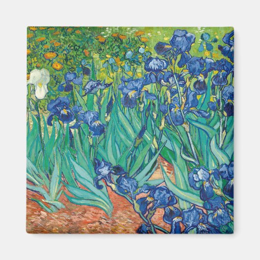 Lirios de Van Gogh Magnet (Vorne)