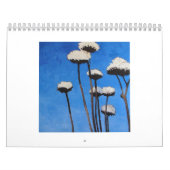 Lisa-Feder-Malereien Kalender (Titelbild)