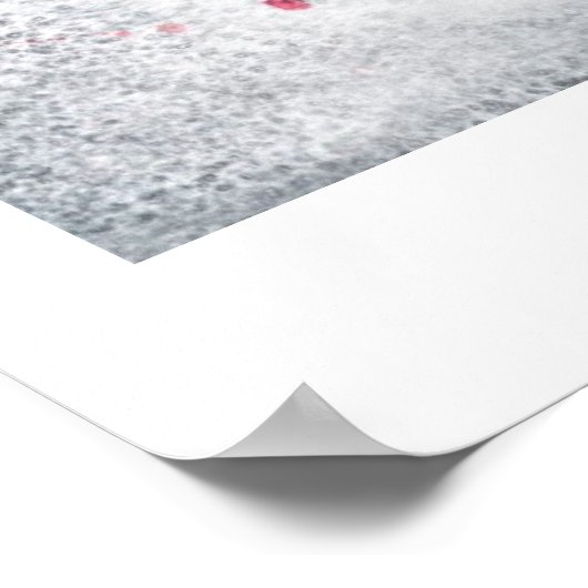 Lisa's Red Poppies Print Poster (Ecke)