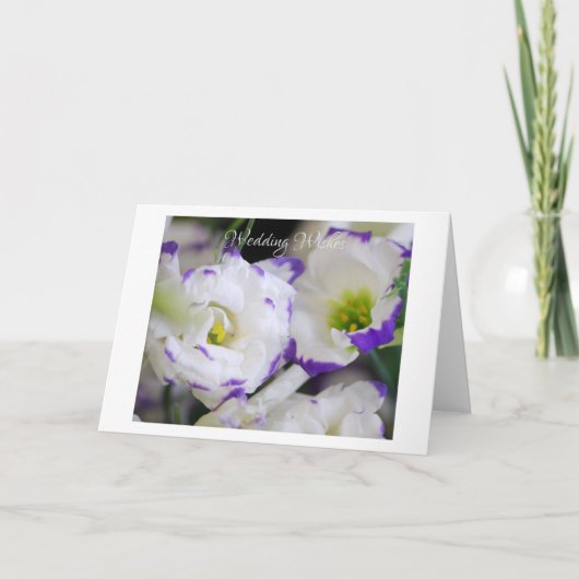 Lisianthus Blume Grußkarte Karte (Vorderseite)