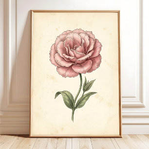Lisianthus-Botanik-Wandkunst-Drucke Poster