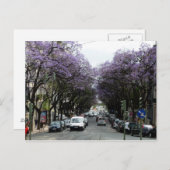 Lissabon Purple Flowers Postkarte (Vorne/Hinten)