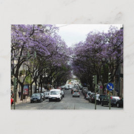 Lissabon Purple Flowers Postkarte