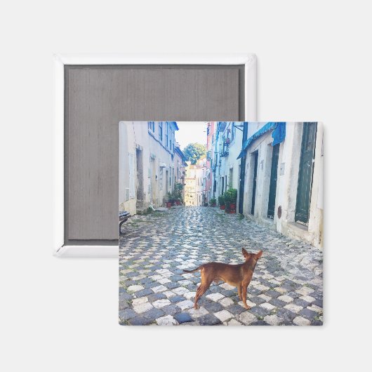 Lissabon Welppy's Street View Portugal Foto Magnet (Vorderseite/Rückseite)