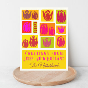 Lisse Tulips Netherlands Zuid Holland Postkarte
