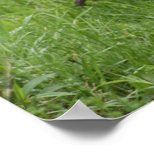 Liste 1 - Poster (Ecke)