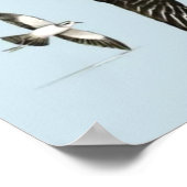 Liste britischer Seevögel Poster (Ecke)