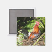 Liste der Blätter Magnet (Vorderseite/Rückseite)