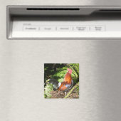 Liste der Blätter Magnet (In Situ (Geschirrspüler))