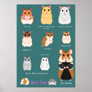 Liste der Hamsterarten Poster