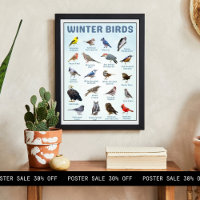 Liste der Wintervögel in den USA