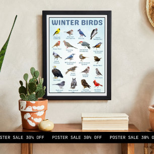 Liste der Wintervögel in den USA Poster