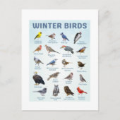 Liste der Wintervögel Kardinal, Blauhäher Postkarte (Vorderseite)