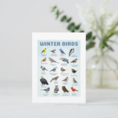 Liste der Wintervögel Kardinal, Blauhäher Postkarte (Stehend Vorderseite)