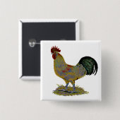 Liste: Freestyle Button (Vorne & Hinten)