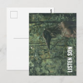 Listen Son Forest Birdman Postkarte (Vorne/Hinten)