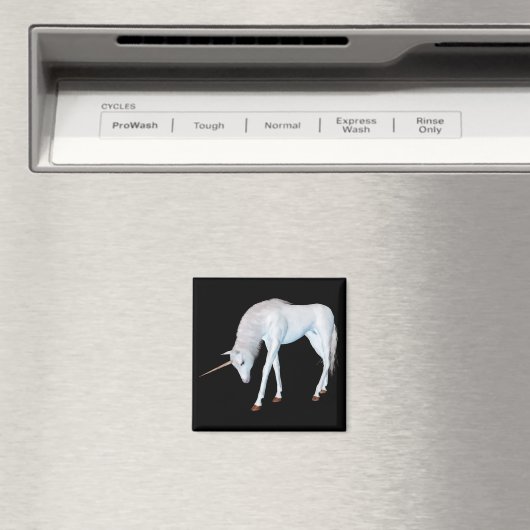 Listing Magnet (In Situ (Geschirrspüler))