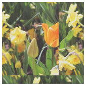 Lit Stoff (Nahaufnahme)