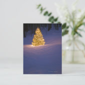 Lit-Weihnachtsbaum draußen Feiertagspostkarte (Stehend Vorderseite)