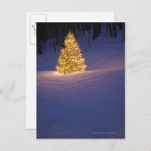 Lit-Weihnachtsbaum draußen Feiertagspostkarte (Vorne/Hinten)