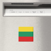 Litauen Flaggenmagnet Magnet (In Situ (Geschirrspüler))