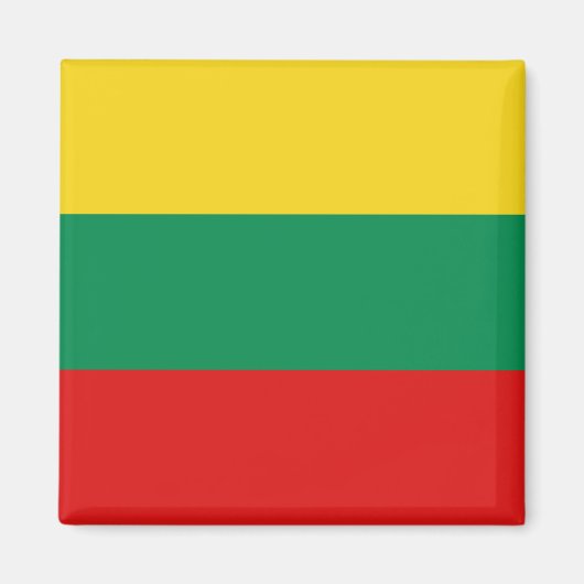 Litauen Flaggenmagnet Magnet (Vorne)