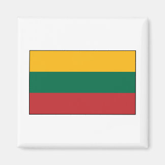 Litauen - litauische Flagge Magnet