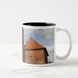 Litauen, Trakai, Trakai Historischer Nationalpark Zweifarbige Tasse