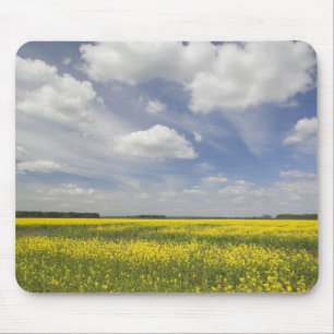 Litauen, Zentrallitauen, Joniskis, Bereich Mousepad