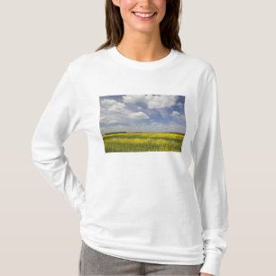 Litauen, Zentrallitauen, Joniskis, Bereich T-Shirt