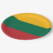 Litauenflagge Pappteller (Schrägansicht)