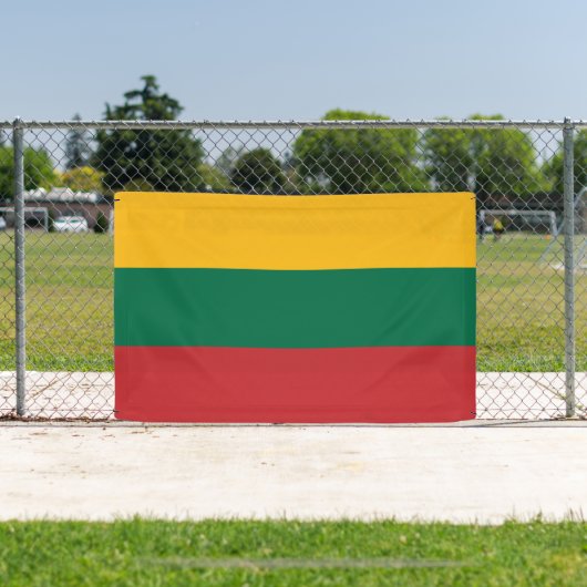litauische Flagge Banner (InSitu)