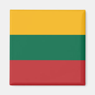 Litauische Flagge Magnet
