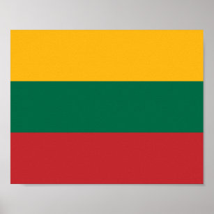 litauische Flagge Poster