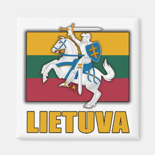 litauische Wappen Magnet