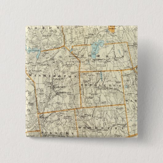 Litchfield Co Button (Vorderseite)
