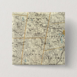 Litchfield Co Button