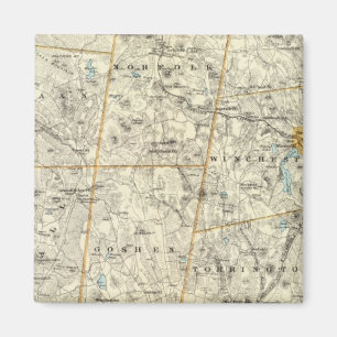 Litchfield Co Magnet