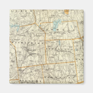 Litchfield Co Magnet