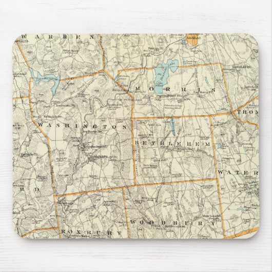 Litchfield Co Mousepad (Vorne)
