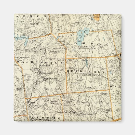 Litchfield Co S Magnet (Vorne)