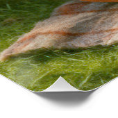 Literarische Maus in einem gemütlichen Baumloch Poster (Ecke)