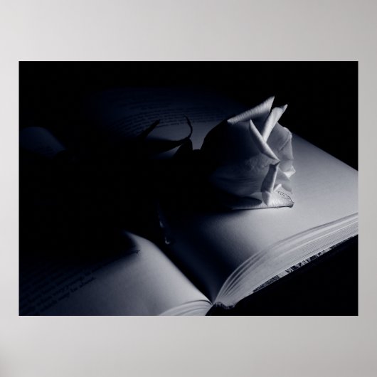 Literarische Rose Poster (Vorne)