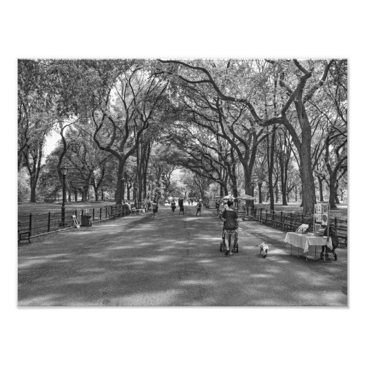 Literaturweg - Central Park, New York Fotodruck (Vorne)