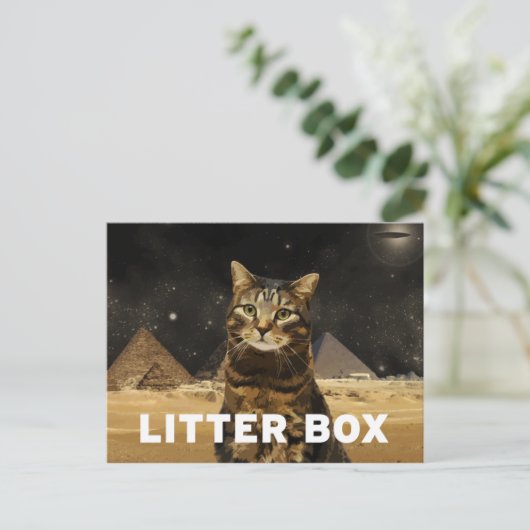 Literkasten Postkarte (Stehend Vorderseite)