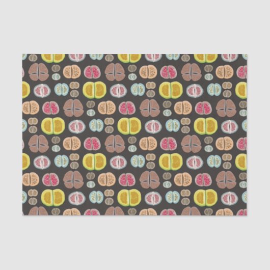 Lithops Seidenpapier (Vorderseite)