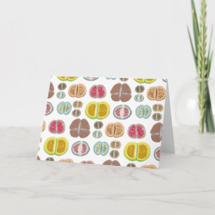 Lithops - transparent karte